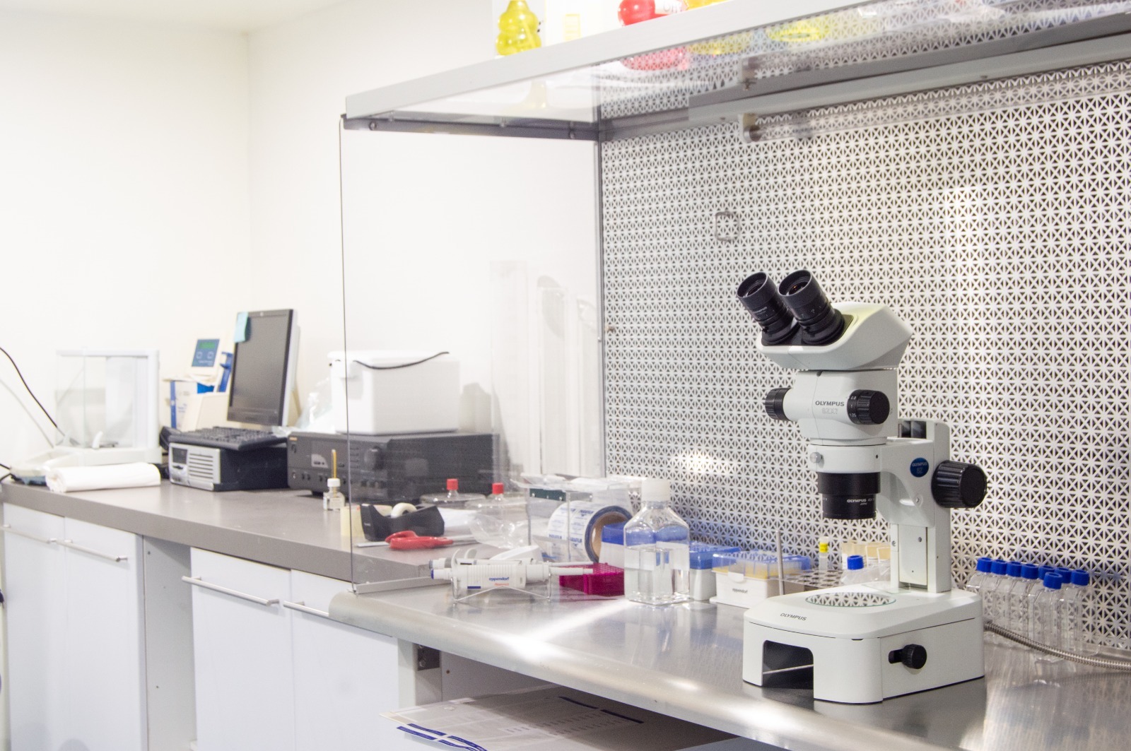 Laboratorio de embriología REPROFEM