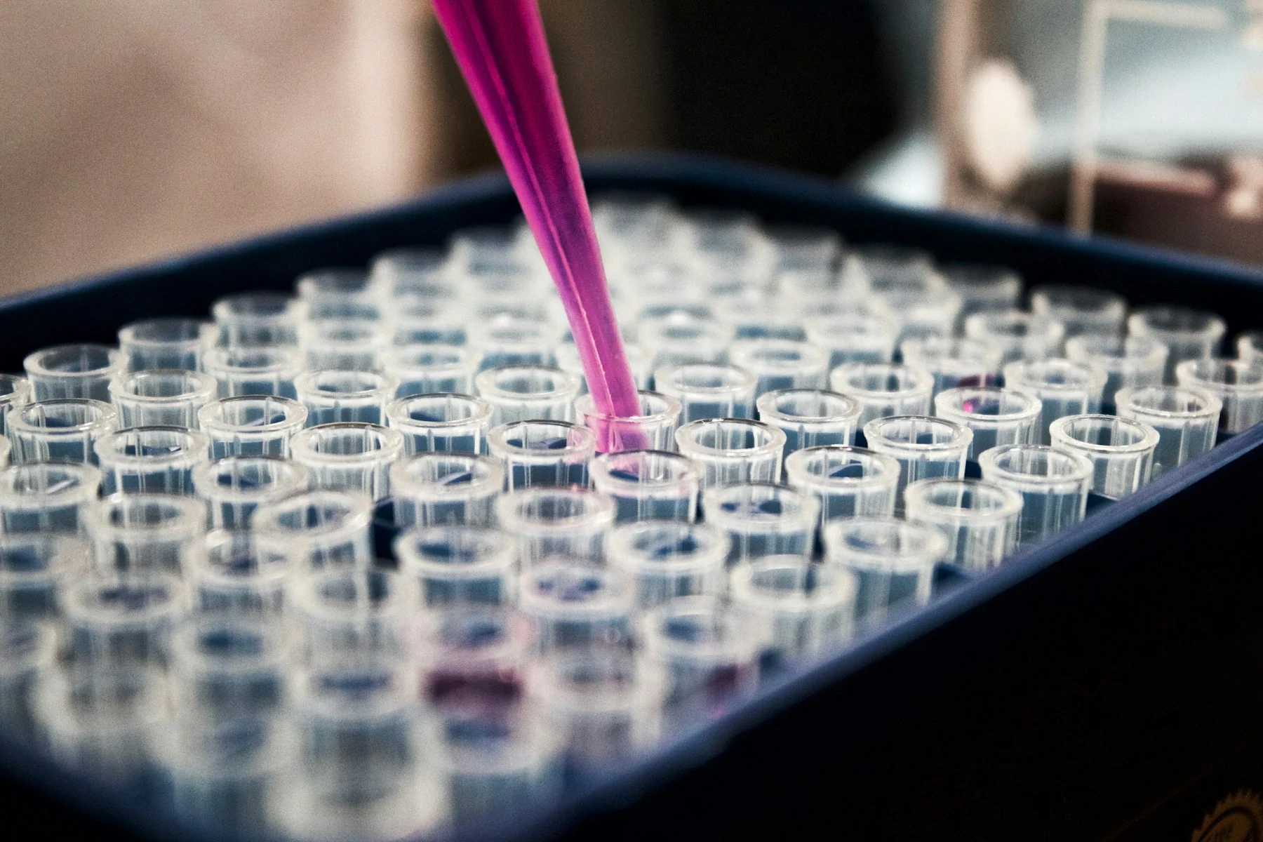 Trabajo de precisión con una micropipeta y tubos de laboratorio